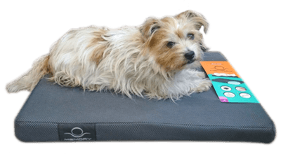 Zorgeloos slapen met Zolux Memory Foam-matrassen!