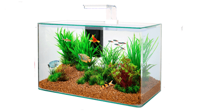 Zolux Clear aquaria