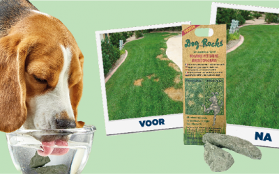 Dog Rocks: Het geheim voor een groen en vlekkeloos gazon!